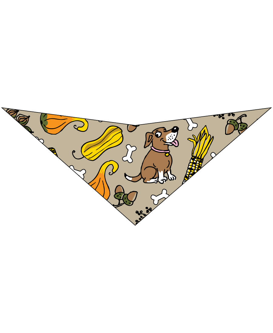 SA3138 Happy Harvest Squash Doggie Bandana, Brown