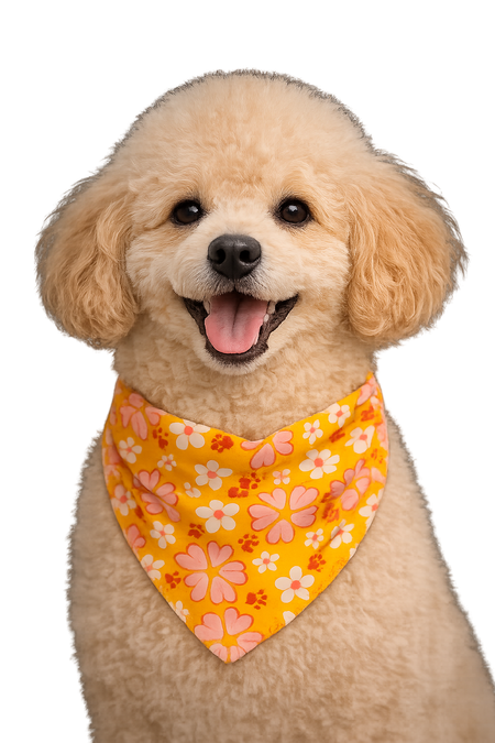 PKS10 60 Assorted SPRING SUMMER Tieback Dog Grooming Bandana/ Groomers  Bulk Package