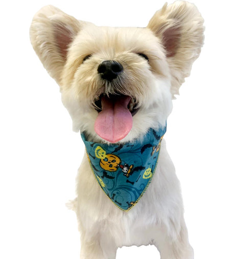 SPKS12 Bandanas Variety Pack Per Size - 12 assorted HALLOWEEN bandanas  
