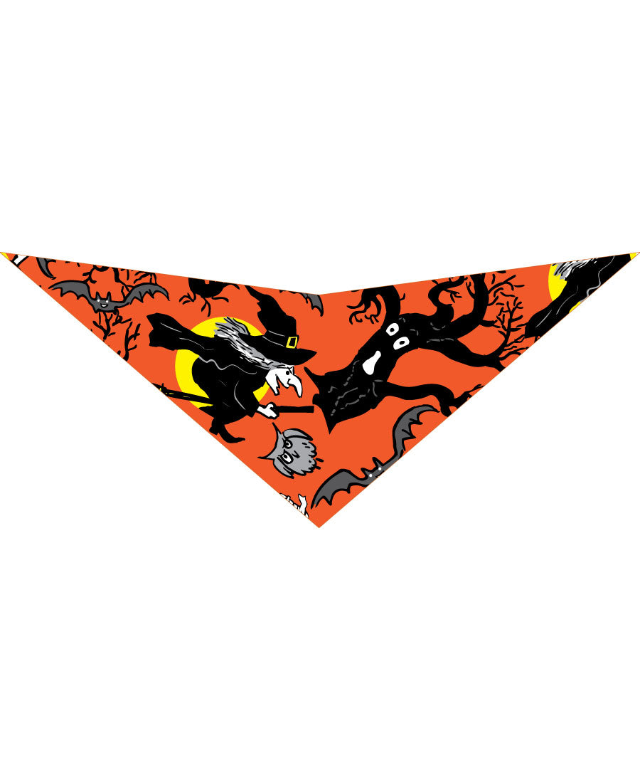 SA3179 Wicked Witch Doggie Bandana, Orange