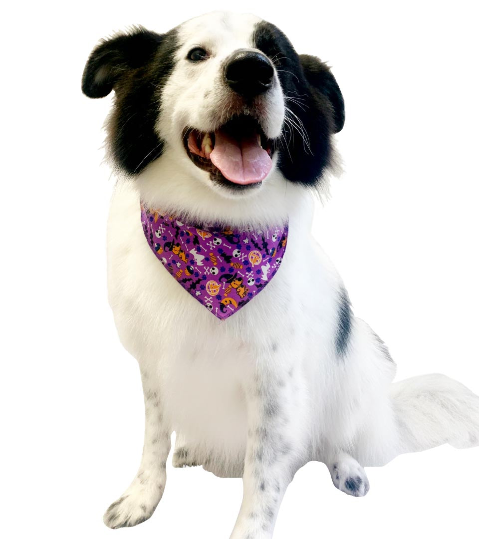 PKS12 60 Assorted HALLOWEEN Tieback Dog Grooming Bandanas / Groomers Bulk Package