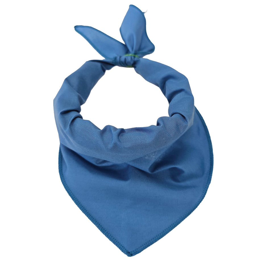 Black Logo Print, Carolina Blue Bandana | Tie-On Triangle Dog Bandana | Premium V-Neck Pet Bandana for Grooming, Style & Fashion S3614