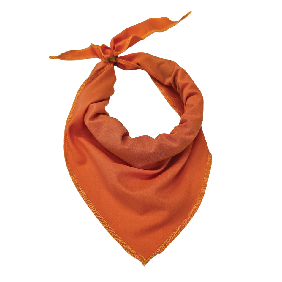 Black Logo Print, Orange Bandana | Tie-On Triangle Dog Bandana | Premium V-Neck Pet Bandana for Grooming, Style & Fashion S3608