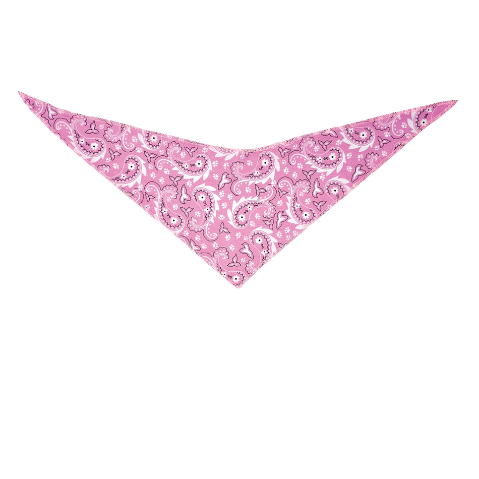 Paisley Tie-On Triangle Dog Bandana | Premium V-Neck Pet Bandana for Grooming, Style & Fashion S3202