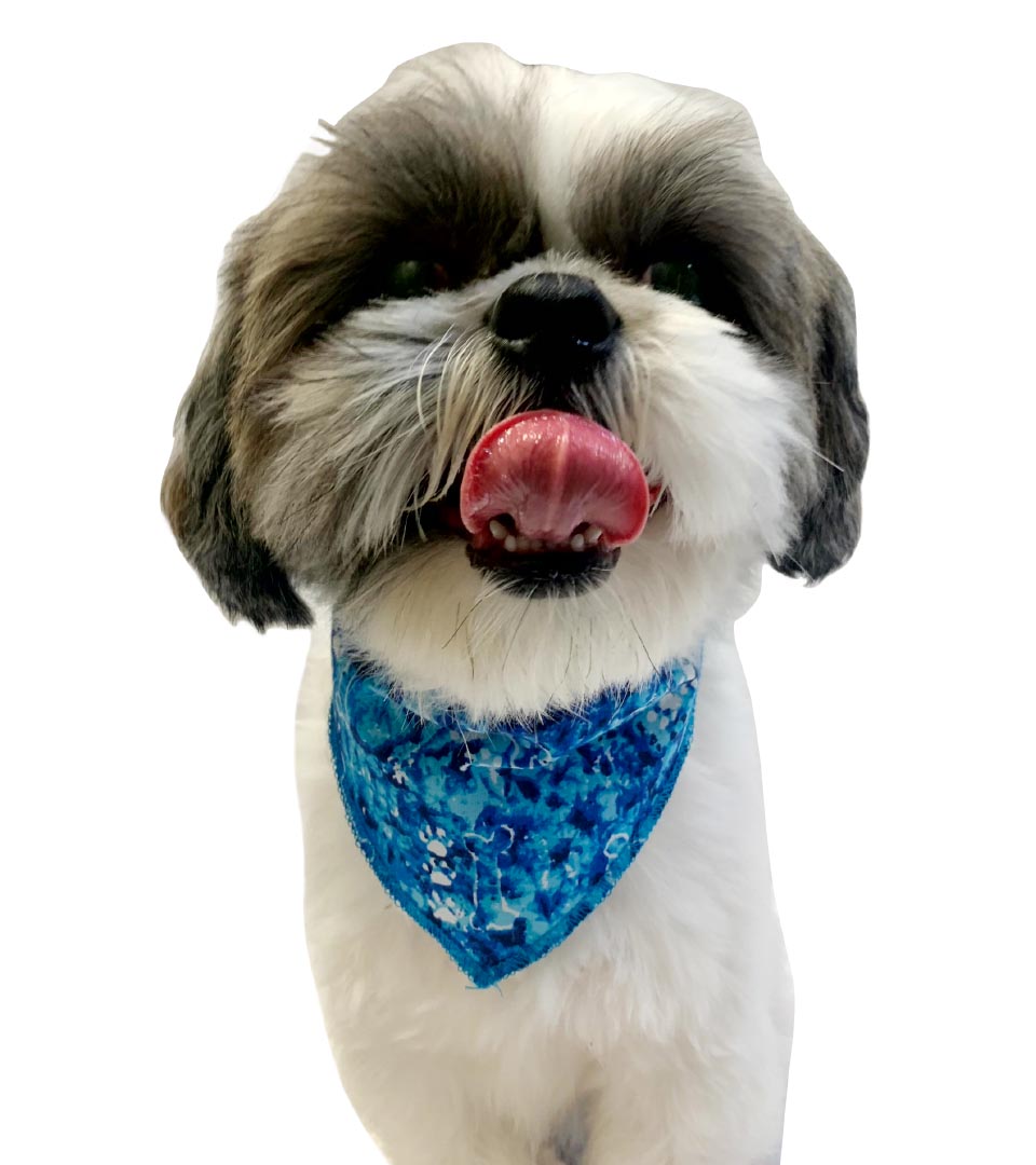 PKS3 60 Assorted Casual Tieback Dog Grooming Bandanas / Groomers Bulk Package