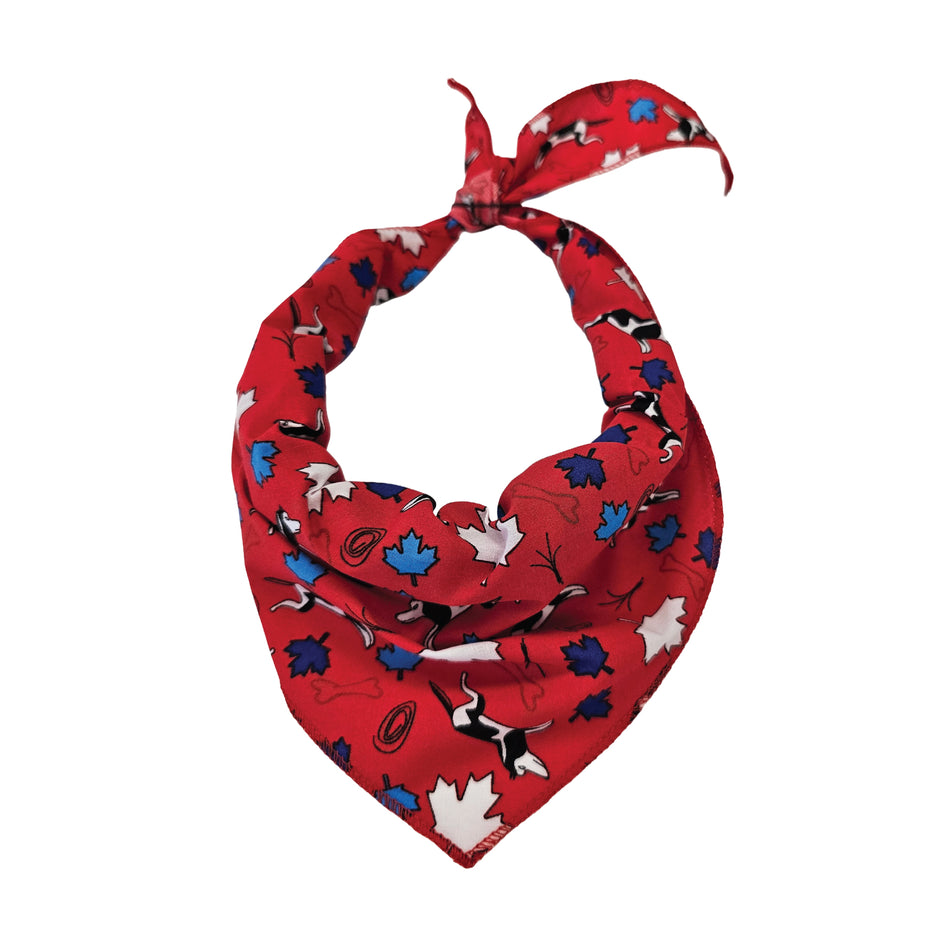 Doggie Tie-On Triangle Dog Bandana | Premium V-Neck Pet Bandana for Grooming, Style & Fashion S3006