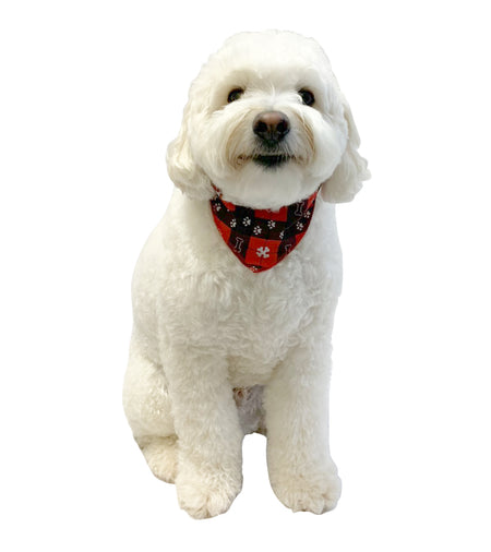 S3074 Christmas White Paws Bandana, Black & Red 