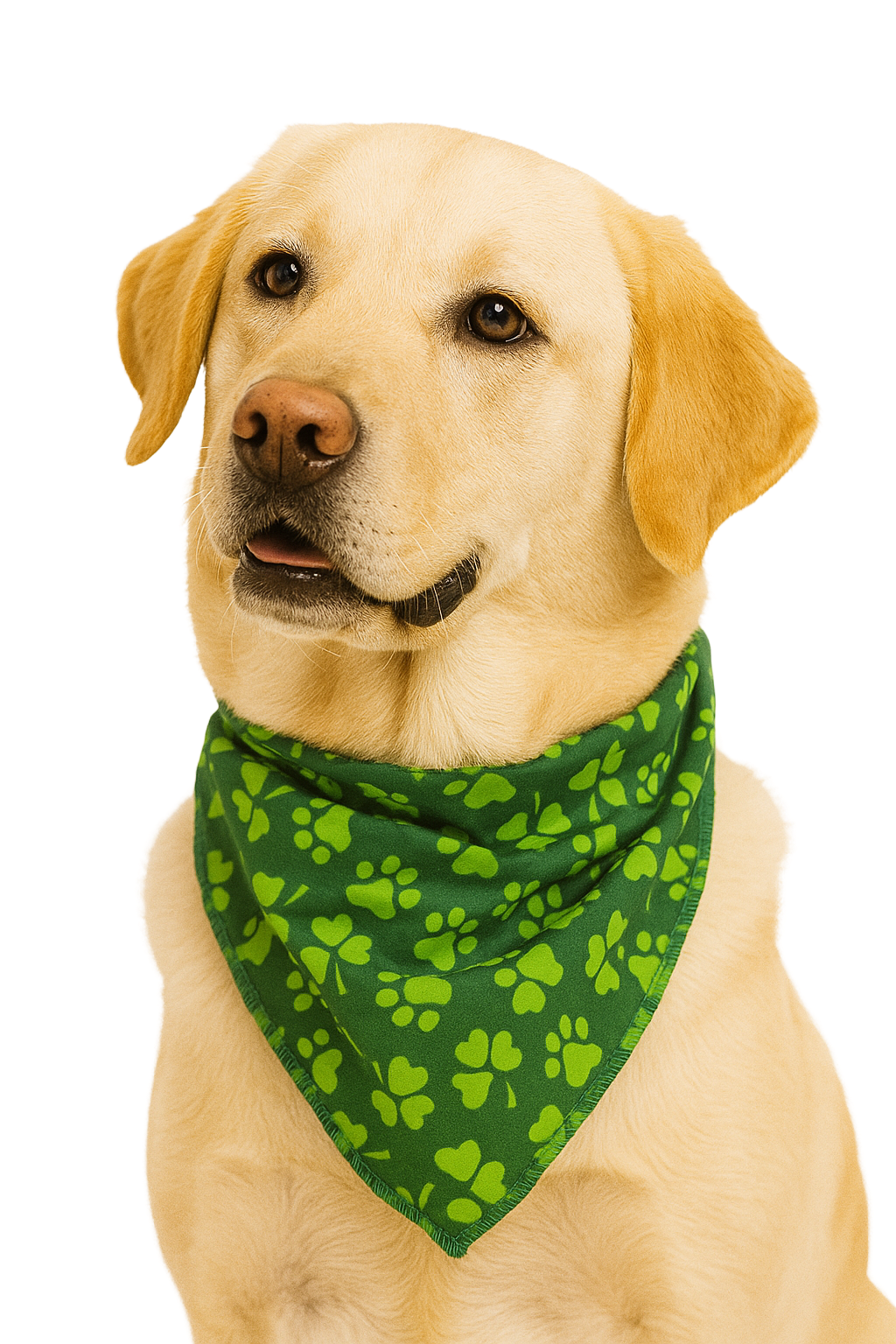 PKS8 60 Assorted ST.PATRICK'S DAY Tieback Dog Grooming Bandanas / Groomers Bulk Package