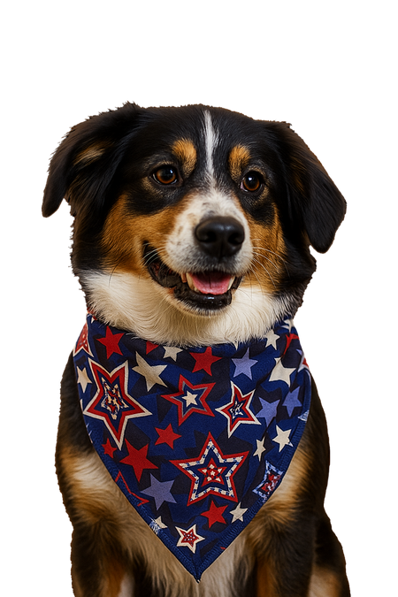 PKS5 60 Assorted PATRIOTIC Tieback Dog Grooming Bandanas / Groomers Bulk Package