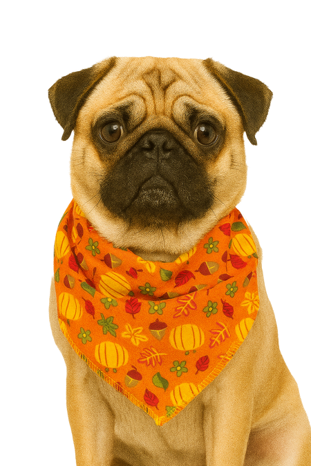 S3171 Fall & Thanksgiving Bandana