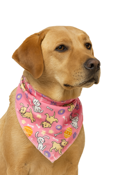 S3191 Easter Doggie Bandana Pink