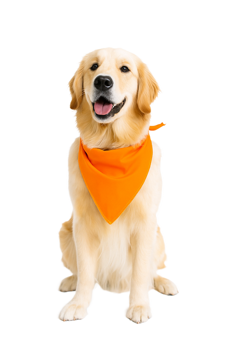 PKS13 60 Assorted SOLID COLOUR Tieback Dog Grooming Bandanas / Groomers Bulk Package