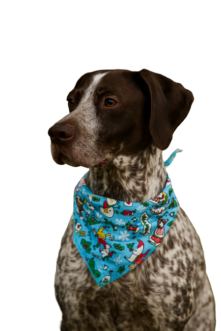 S3058 Winter Holiday Doggie Bandana