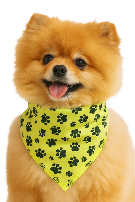 PKS1 60 Assorted PAWS & BONES Tieback Dog Grooming Bandanas / Groomers Bulk Package