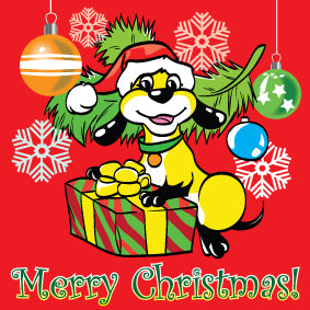 HG1 Holiday Gift