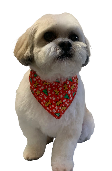 S3206 Christmas Ginger Bandana
