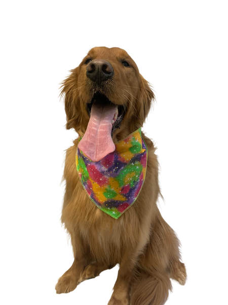 S3164 Casual Bandana