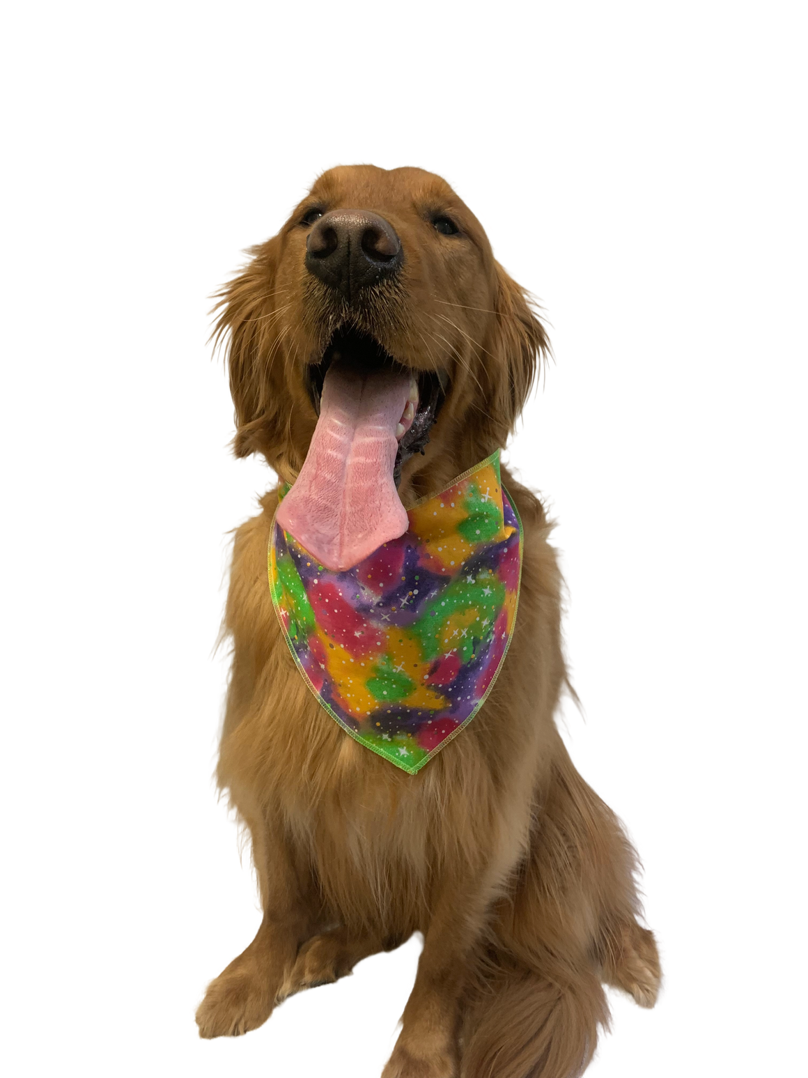PKS3 60 Assorted Casual Tieback Dog Grooming Bandanas / Groomers Bulk Package