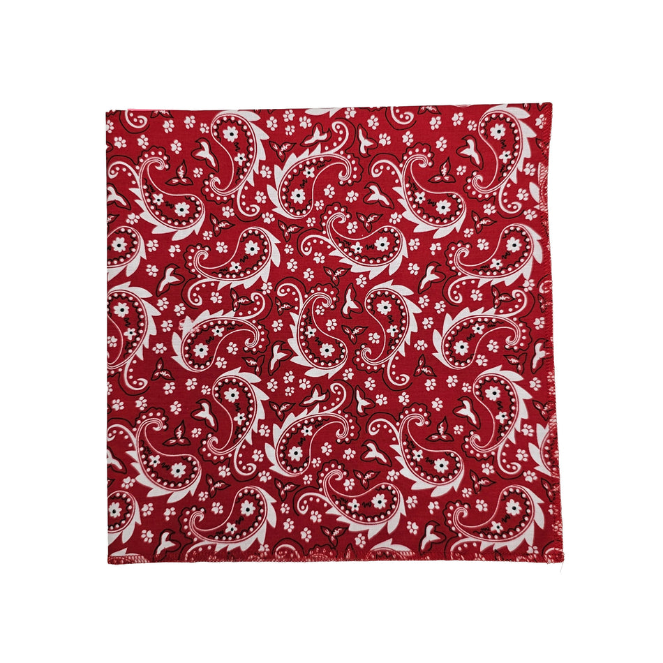Paisley Square Bandana | Tie on Dog & People Bandana | Dog grooming, Crafts & Sewing SQ3193